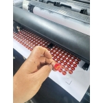 In Bế Tem Nhãn Cắt Dán Tại Thủ Đức – Tiện Lợi, Sắc Nét, Dán Ngay