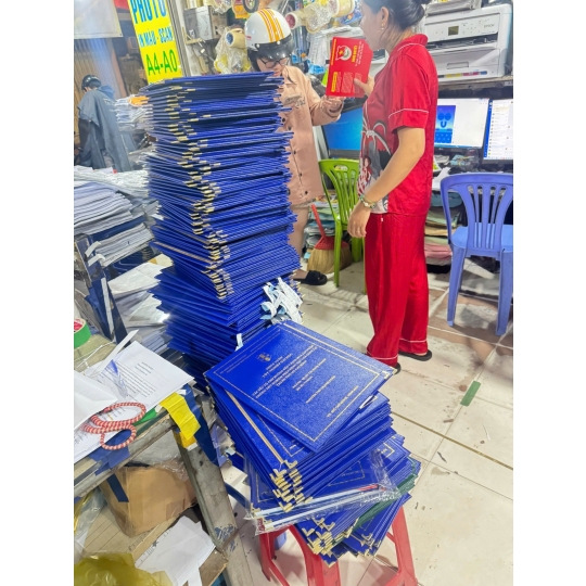 LÀM BÌA MẠ NHŨ - KHÓA LUẬN TỐT NGHIỆP