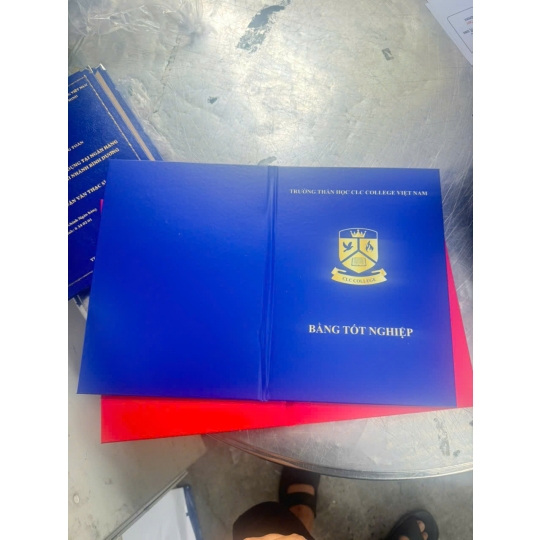 Đóng Bìa Mạ Vàng Đồ Án Sinh Viên Giá Rẻ Tại Linh Chiểu