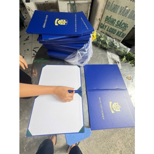 GIA CÔNG MẪU BÌA NHŨ MẠ VÀNG CHO LUẬN VĂN THẠC SĨ NGÀNH CÔNG NGHỆ THỰC PHẨM